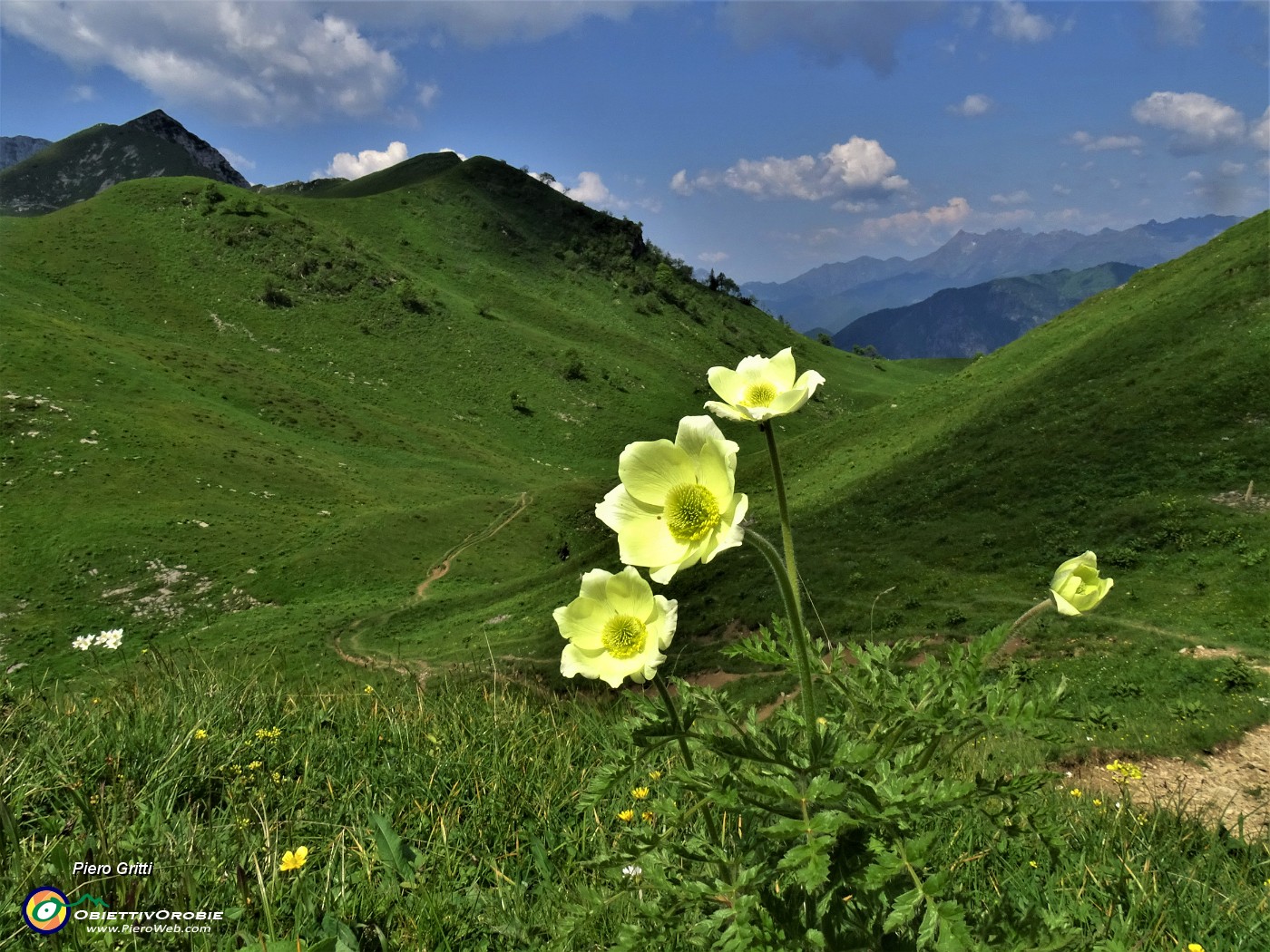 53 Dal Passo Branchino sul sent. 219 rientro alle Baite di Mezzeno.JPG